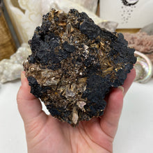 Bild in Galerie-Viewer laden, Black Tourmaline with Muscovite Rough #06