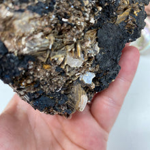 Bild in Galerie-Viewer laden, Black Tourmaline with Muscovite Rough #06