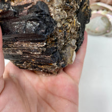 Bild in Galerie-Viewer laden, Black Tourmaline with Muscovite Rough #06