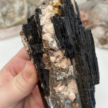 Bild in Galerie-Viewer laden, Black Tourmaline with Muscovite Rough #07