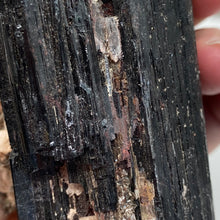 Bild in Galerie-Viewer laden, Black Tourmaline with Muscovite Rough #07