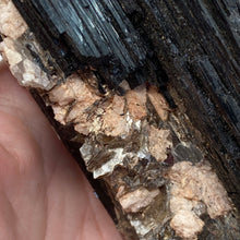 Bild in Galerie-Viewer laden, Black Tourmaline with Muscovite Rough #07