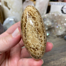 将图像加载到图库查看器中,<transcy>文石星团#03</transcy>