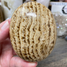 将图像加载到图库查看器中,<transcy>文石星团#03</transcy>