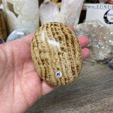 将图像加载到图库查看器中,<transcy>文石星团#03</transcy>