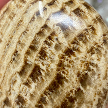 将图像加载到图库查看器中,<transcy>文石星团#03</transcy>