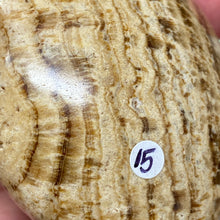 将图像加载到图库查看器中,<transcy>文石星团#03</transcy>