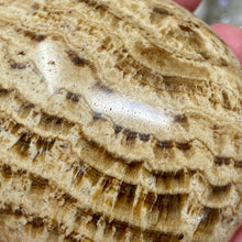 将图像加载到图库查看器中,<transcy>文石星团#03</transcy>