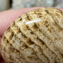 将图像加载到图库查看器中,<transcy>文石星团#03</transcy>