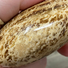 将图像加载到图库查看器中,<transcy>文石星团#03</transcy>