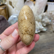 将图像加载到图库查看器中,<transcy>文石星团#03</transcy>