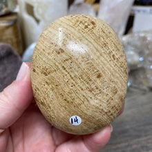 将图像加载到图库查看器中,<transcy>文石星团#03</transcy>