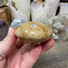 将图像加载到图库查看器中,<transcy>文石星团#03</transcy>