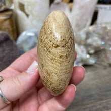 将图像加载到图库查看器中,<transcy>文石星团#03</transcy>