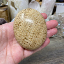 将图像加载到图库查看器中,<transcy>文石星团#03</transcy>