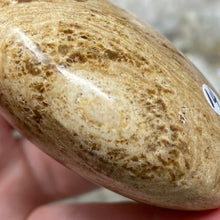 将图像加载到图库查看器中,<transcy>文石星团#03</transcy>