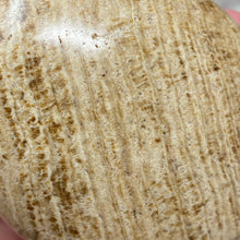 将图像加载到图库查看器中,<transcy>文石星团#03</transcy>