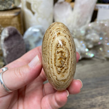 将图像加载到图库查看器中,<transcy>文石星团#03</transcy>