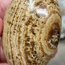 将图像加载到图库查看器中,<transcy>文石星团#03</transcy>