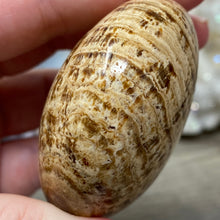 将图像加载到图库查看器中,<transcy>文石星团#03</transcy>