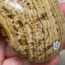 将图像加载到图库查看器中,<transcy>文石星团#03</transcy>