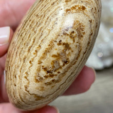 将图像加载到图库查看器中,<transcy>文石星团#03</transcy>