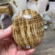 将图像加载到图库查看器中,<transcy>文石星团#03</transcy>