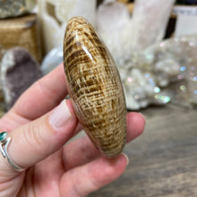 将图像加载到图库查看器中,<transcy>文石星团#03</transcy>