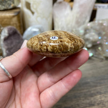 将图像加载到图库查看器中,<transcy>文石星团#03</transcy>