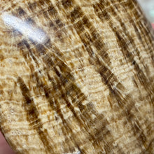 将图像加载到图库查看器中,<transcy>文石星团#03</transcy>