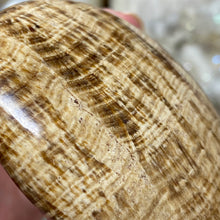 将图像加载到图库查看器中,<transcy>文石星团#03</transcy>