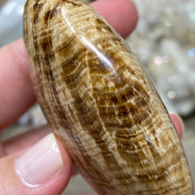 将图像加载到图库查看器中,<transcy>文石星团#03</transcy>