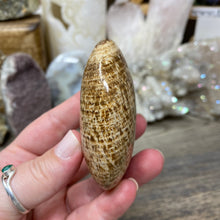 将图像加载到图库查看器中,<transcy>文石星团#03</transcy>