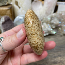 将图像加载到图库查看器中,<transcy>文石星团#03</transcy>