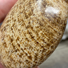 将图像加载到图库查看器中,<transcy>文石星团#03</transcy>