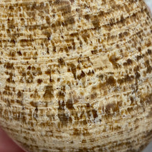 将图像加载到图库查看器中,<transcy>文石星团#03</transcy>