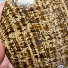 将图像加载到图库查看器中,<transcy>文石星团#03</transcy>