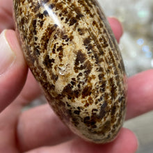 将图像加载到图库查看器中,<transcy>文石星团#03</transcy>