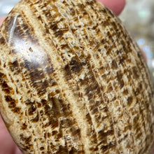 将图像加载到图库查看器中,<transcy>文石星团#03</transcy>