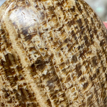 将图像加载到图库查看器中,<transcy>文石星团#03</transcy>