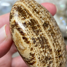 将图像加载到图库查看器中,<transcy>文石星团#03</transcy>