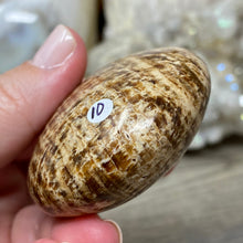 将图像加载到图库查看器中,<transcy>文石星团#03</transcy>