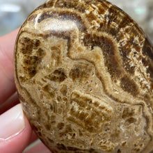 将图像加载到图库查看器中,<transcy>文石星团#03</transcy>