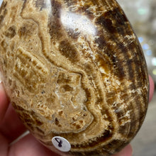 将图像加载到图库查看器中,<transcy>文石星团#03</transcy>