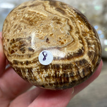 将图像加载到图库查看器中,<transcy>文石星团#03</transcy>