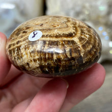 将图像加载到图库查看器中,<transcy>文石星团#03</transcy>