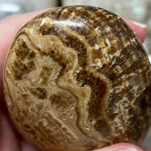 将图像加载到图库查看器中,<transcy>文石星团#03</transcy>