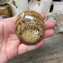 将图像加载到图库查看器中,<transcy>文石星团#03</transcy>