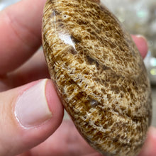 将图像加载到图库查看器中,<transcy>文石星团#03</transcy>