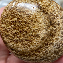 将图像加载到图库查看器中,<transcy>文石星团#03</transcy>